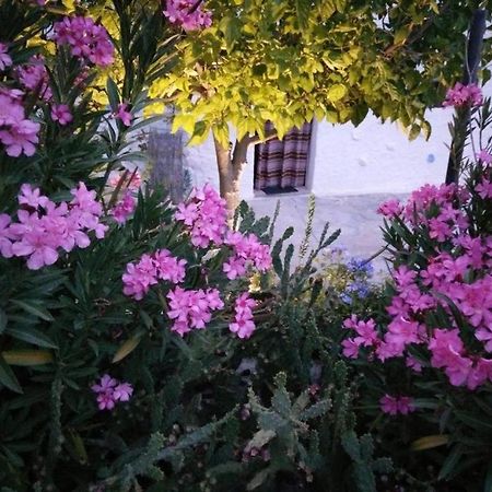 Cuevas Los Coloraos - La Residencia Villanueva de las Torres Eksteriør billede