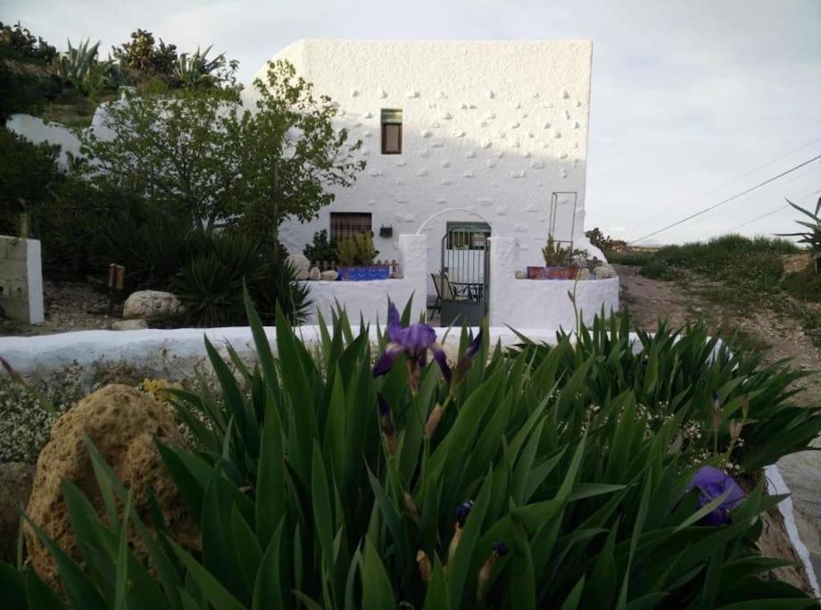 Cuevas Los Coloraos - La Residencia Villanueva de las Torres Eksteriør billede
